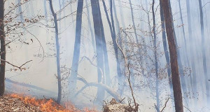 Foto: Feuerwehr Bad Urach