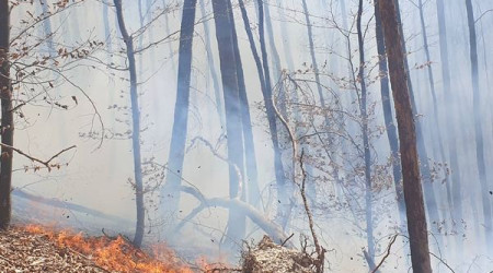 Foto: Feuerwehr Bad Urach