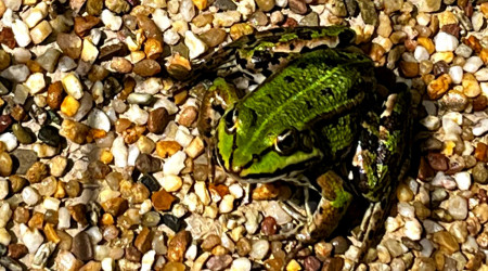 Foto: Stadt Reutlingen